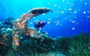 A61GN0 Anchor wreck with fish and scuba diver underwater, Ibiza, Balearic Islands, Spain